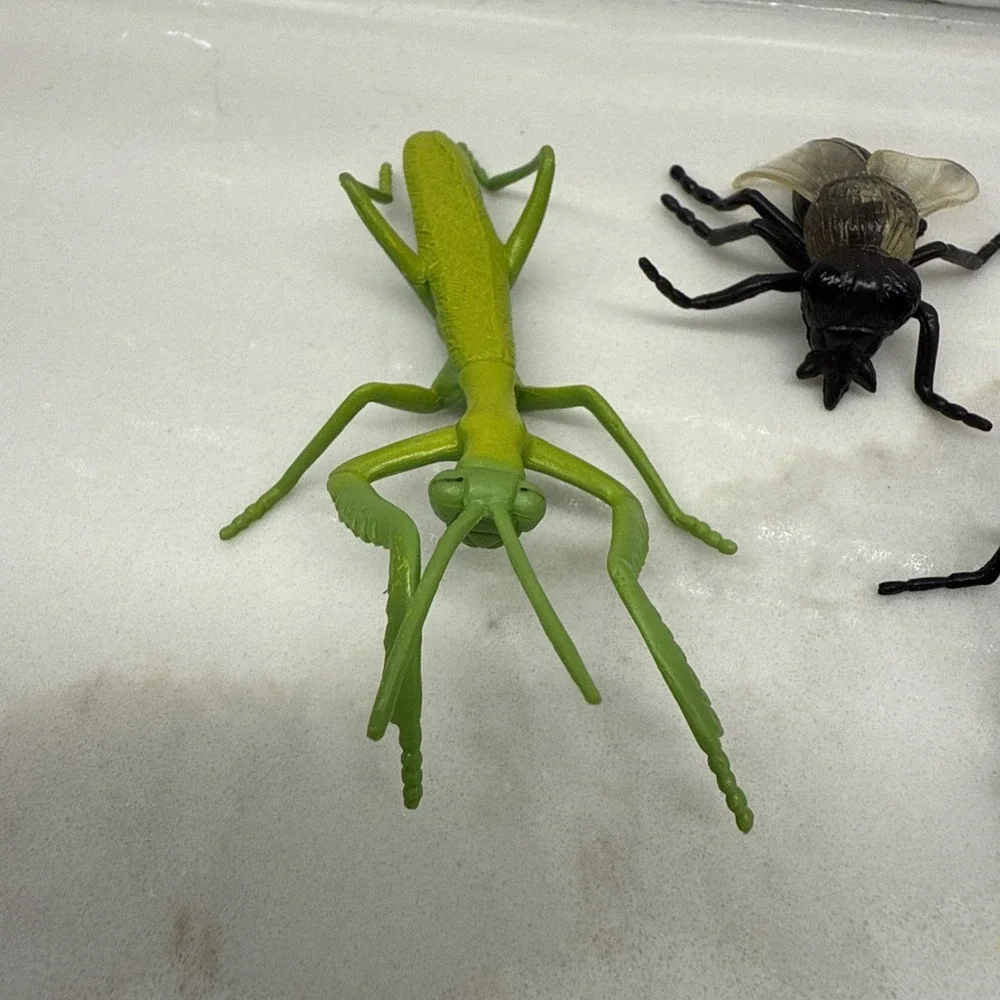 Safari Ltd Bugs Insects 2